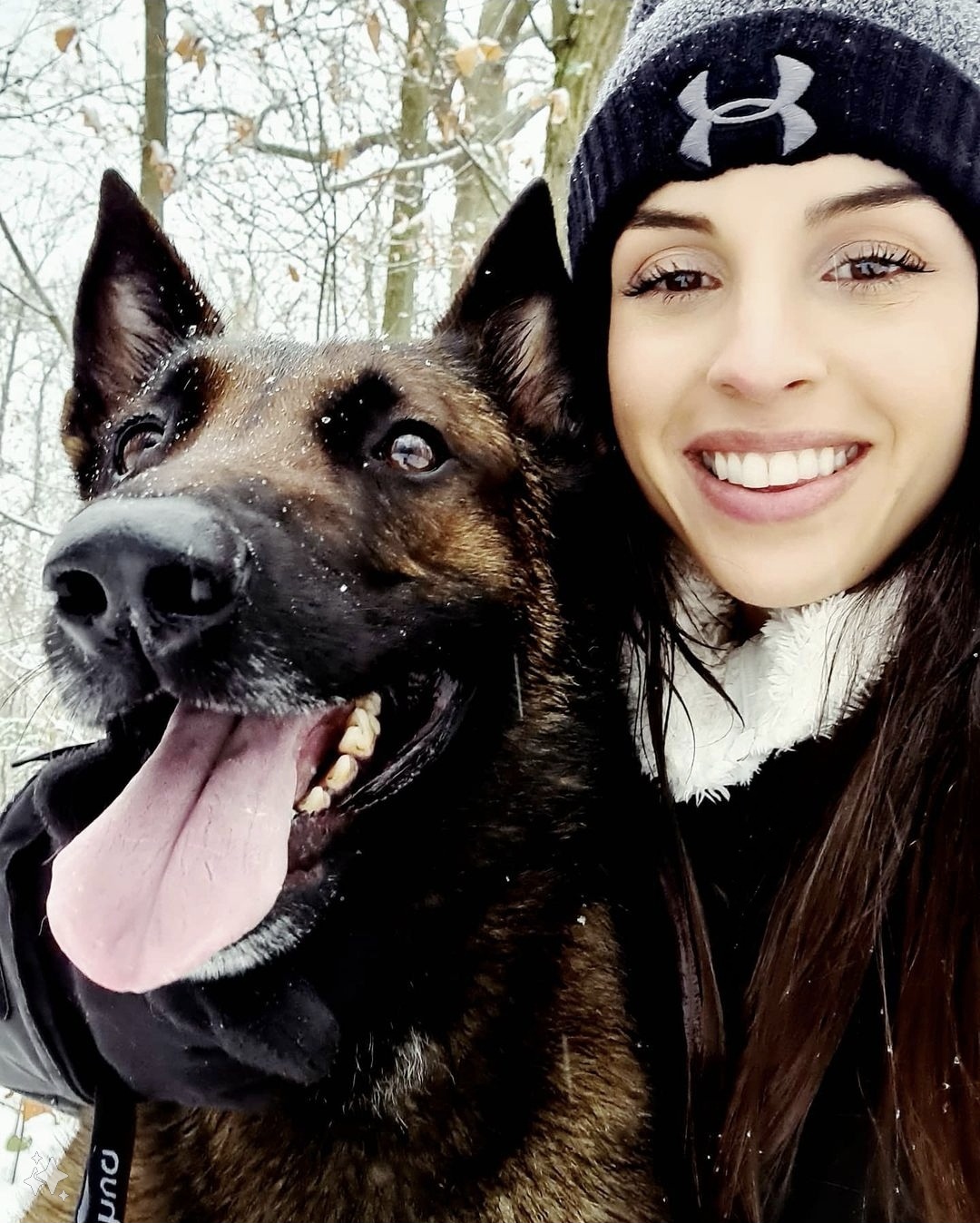 communication canine