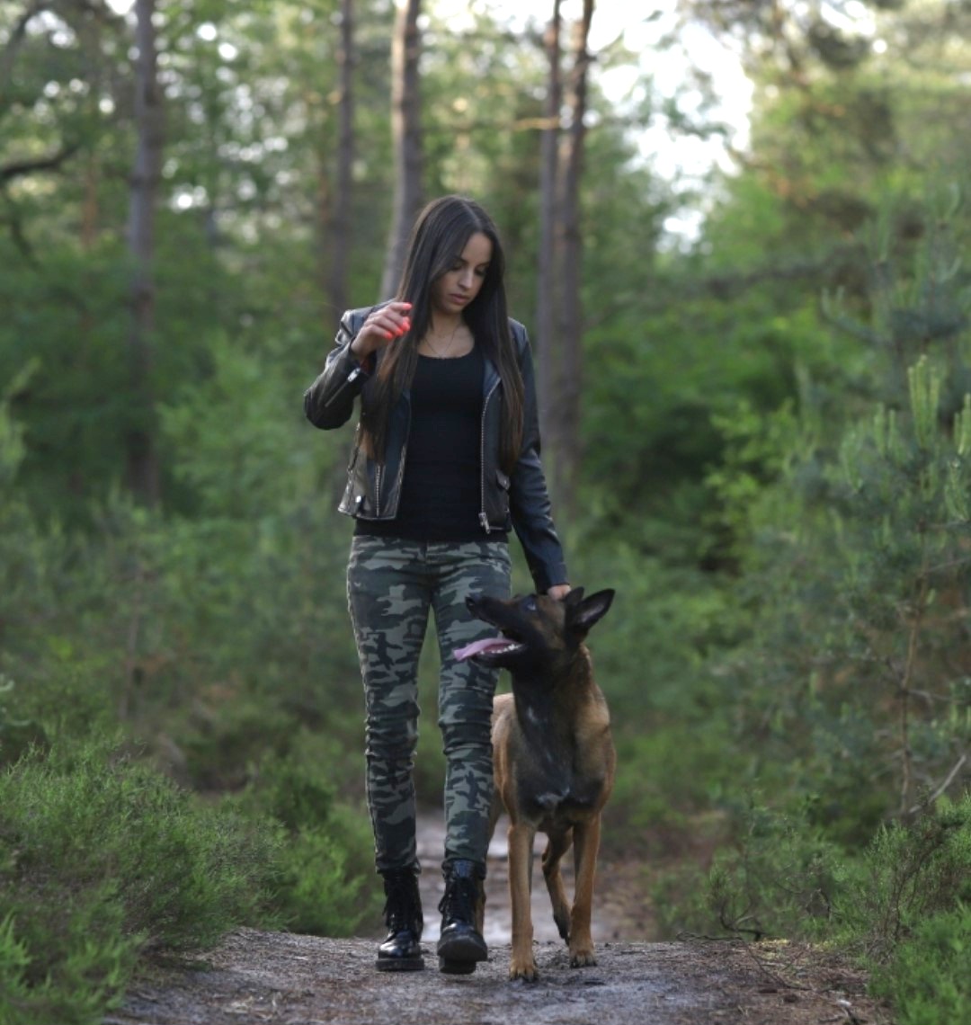 comportementaliste canin